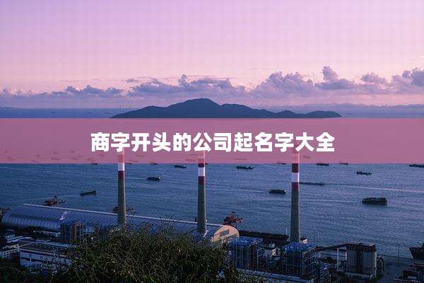 商字开头的公司起名字大全