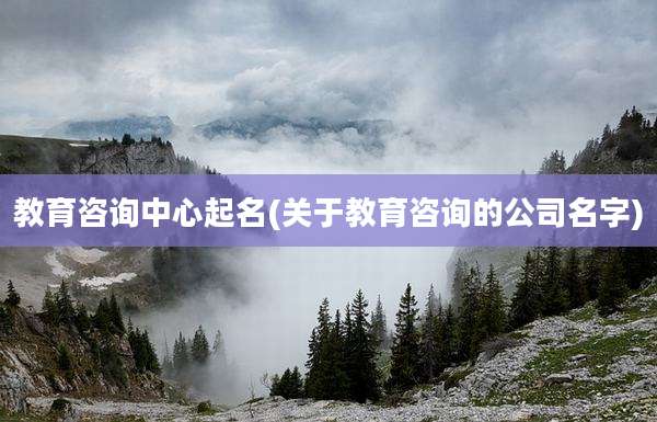 教育咨询中心起名(关于教育咨询的公司名字)
