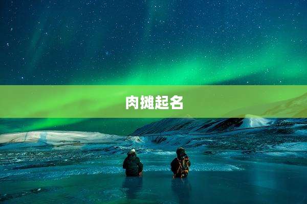 肉摊起名
