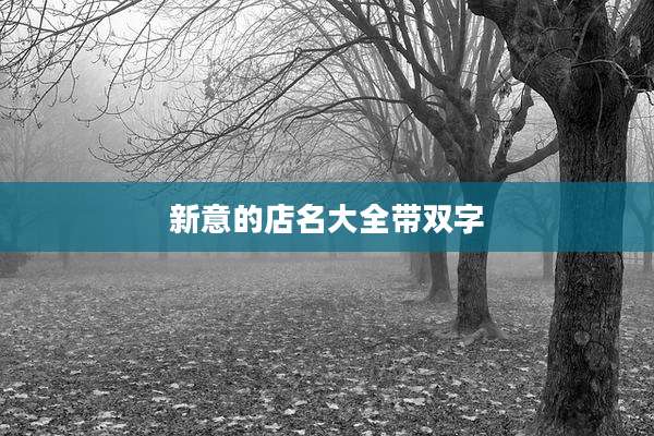 新意的店名大全带双字