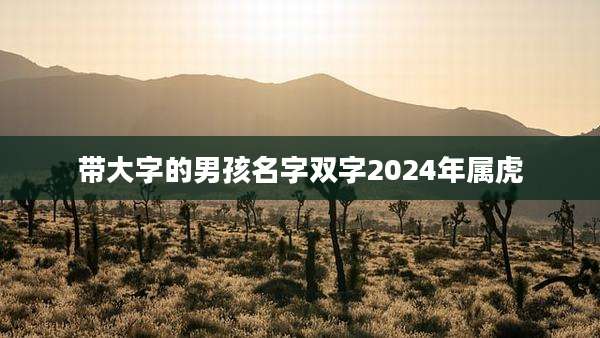 带大字的男孩名字双字2024年属虎