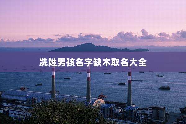 冼姓男孩名字缺木取名大全