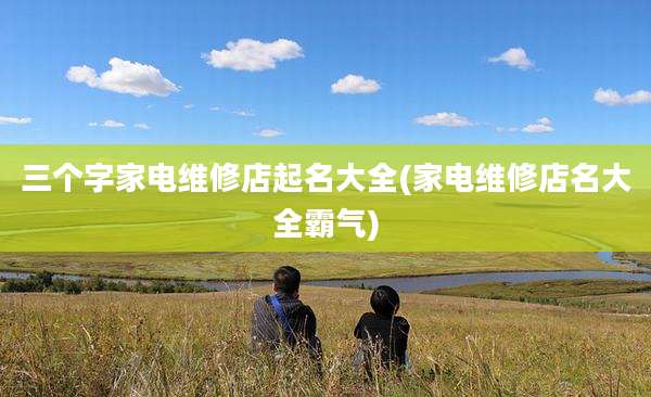 三个字家电维修店起名大全(家电维修店名大全霸气)