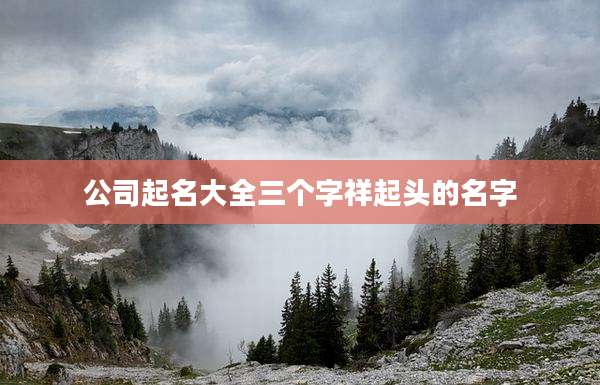 公司起名大全三个字祥起头的名字