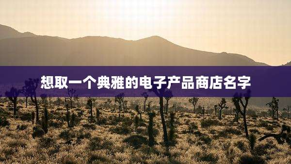 想取一个典雅的电子产品商店名字