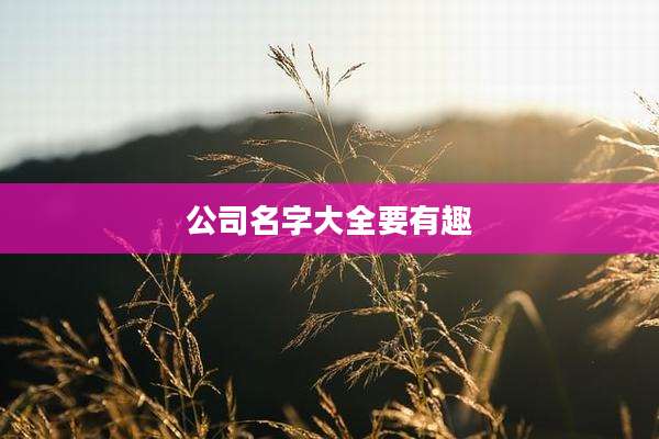 公司名字大全要有趣