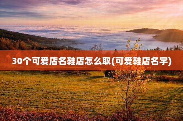30个可爱店名鞋店怎么取(可爱鞋店名字)