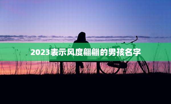 2023表示风度翩翩的男孩名字