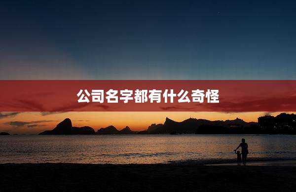 公司名字都有什么奇怪