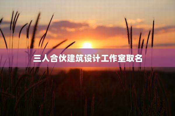 三人合伙建筑设计工作室取名