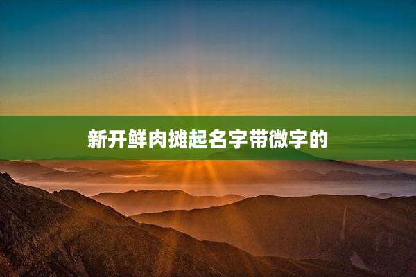 新开鲜肉摊起名字带微字的