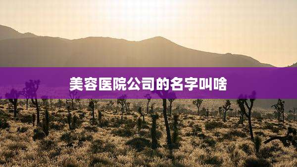 美容医院公司的名字叫啥