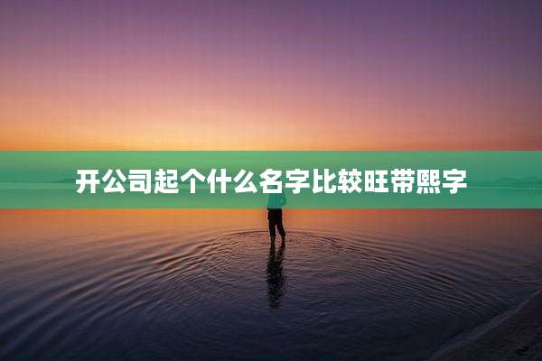开公司起个什么名字比较旺带熙字