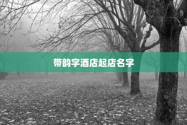 带韵字酒店起店名字