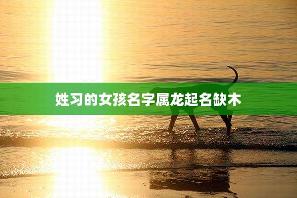 姓习的女孩名字属龙起名缺木
