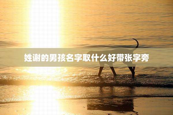 姓谢的男孩名字取什么好带张字旁