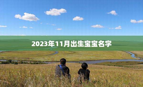 2023年11月出生宝宝名字