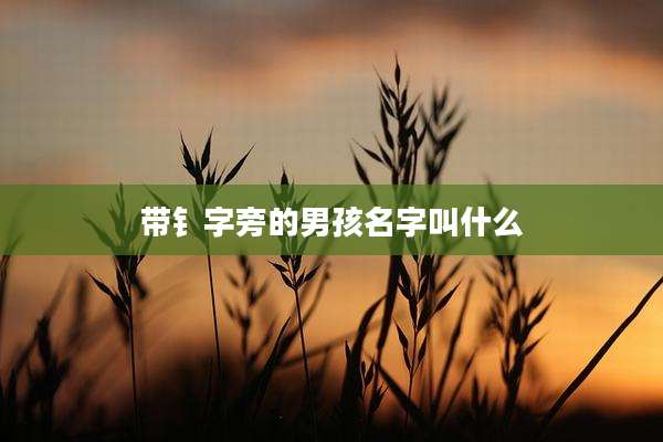 带钅字旁的男孩名字叫什么