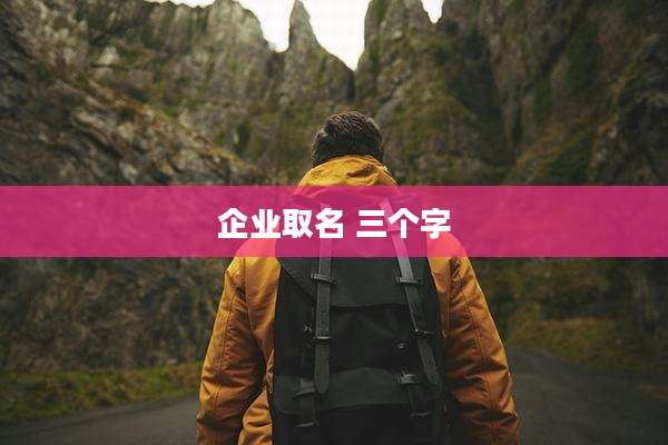 企业取名 三个字