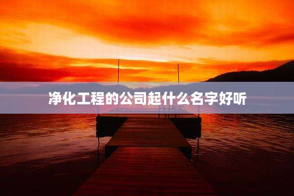 净化工程的公司起什么名字好听