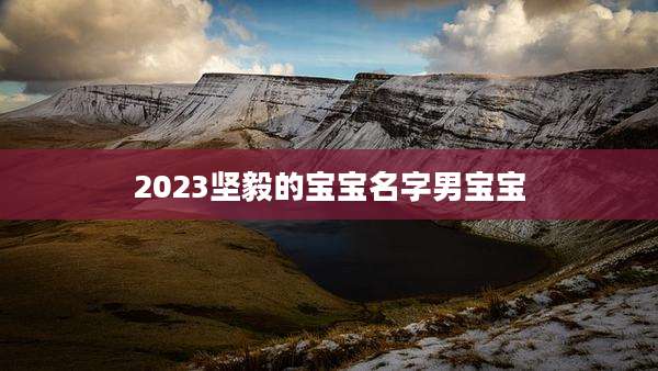2023坚毅的宝宝名字男宝宝