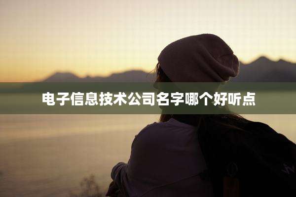电子信息技术公司名字哪个好听点