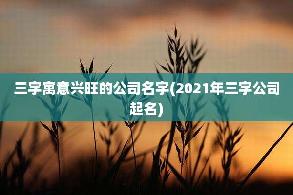三字寓意兴旺的公司名字(2021年三字公司起名)
