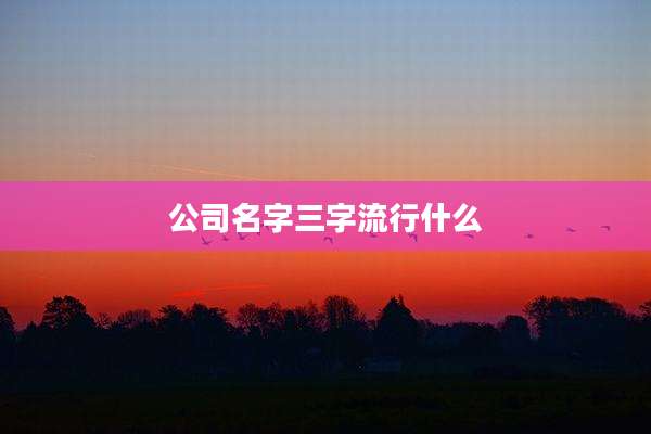 公司名字三字流行什么