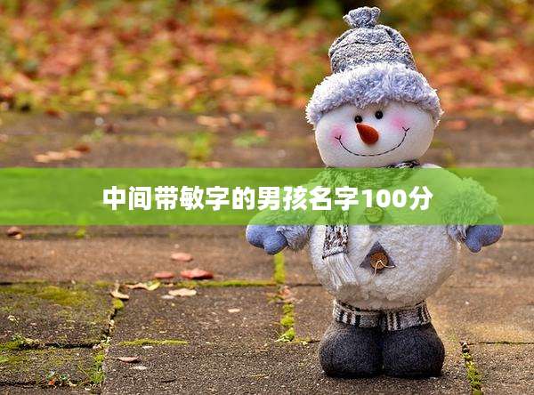 中间带敏字的男孩名字100分