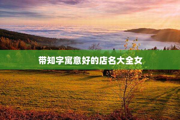带知字寓意好的店名大全女
