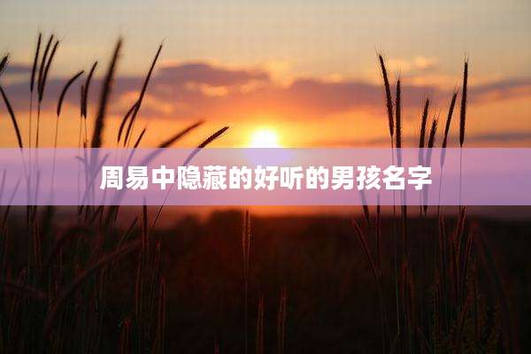 周易中隐藏的好听的男孩名字