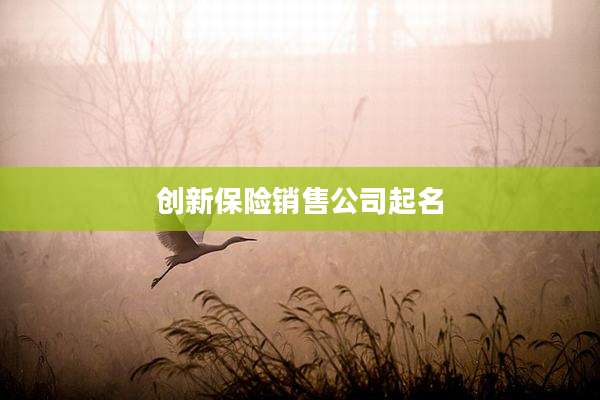 创新保险销售公司起名