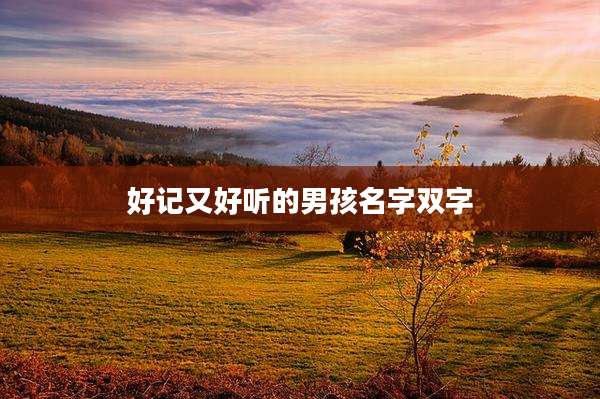好记又好听的男孩名字双字