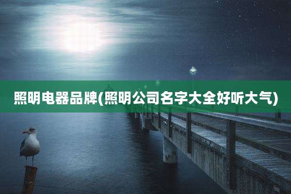照明电器品牌(照明公司名字大全好听大气)