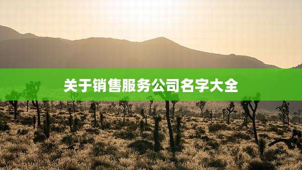 关于销售服务公司名字大全