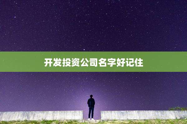 开发投资公司名字好记住