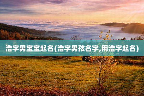 浩字男宝宝起名(浩字男孩名字,用浩字起名)