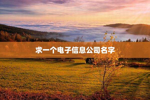 求一个电子信息公司名字