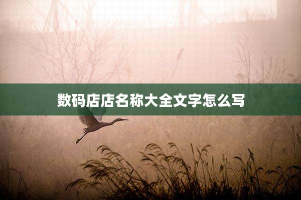 数码店店名称大全文字怎么写