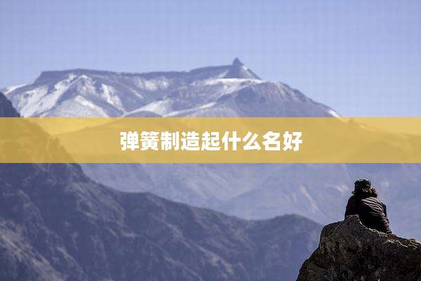 弹簧制造起什么名好