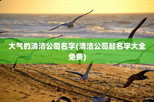 大气的清洁公司名字(清洁公司起名字大全免费)