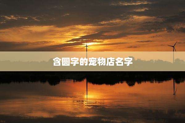 含圆字的宠物店名字