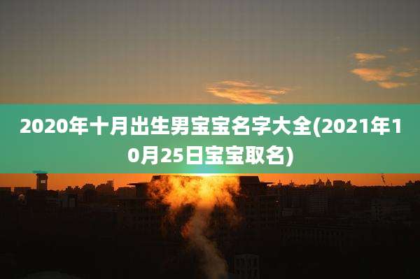 2020年十月出生男宝宝名字大全(2021年10月25日宝宝取名)