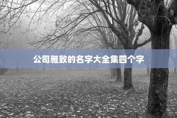 公司雅致的名字大全集四个字