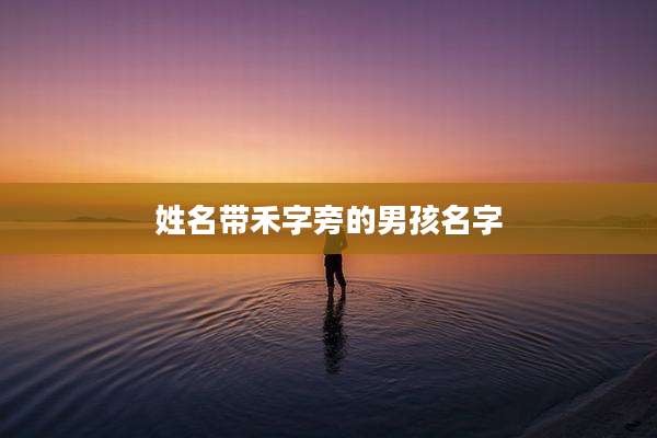 姓名带禾字旁的男孩名字