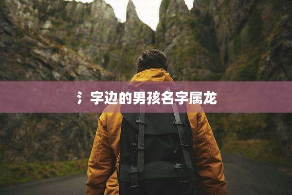氵字边的男孩名字属龙