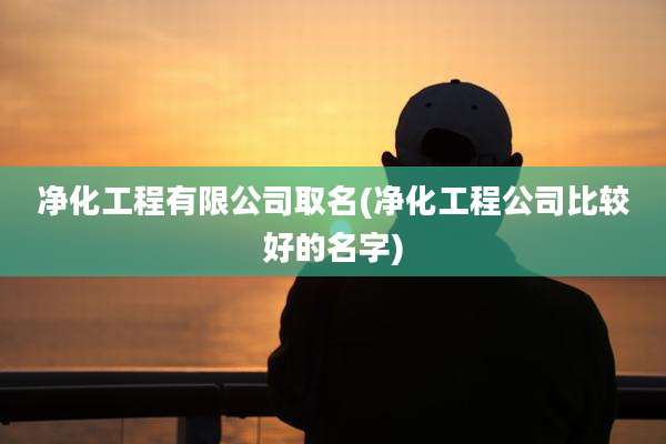 净化工程有限公司取名(净化工程公司比较好的名字)