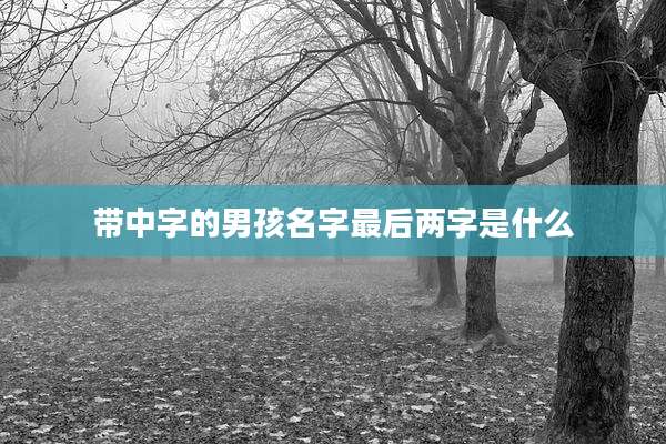 带中字的男孩名字最后两字是什么
