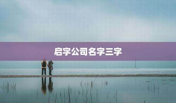 启字公司名字三字