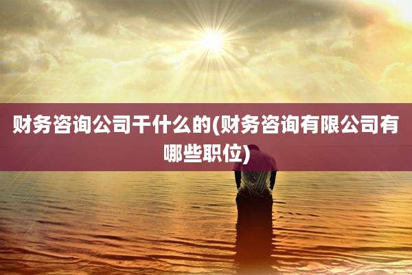 财务咨询公司干什么的(财务咨询有限公司有哪些职位)